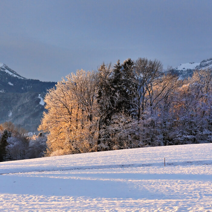 Silvesterwanderung, Prien am Chiemsee