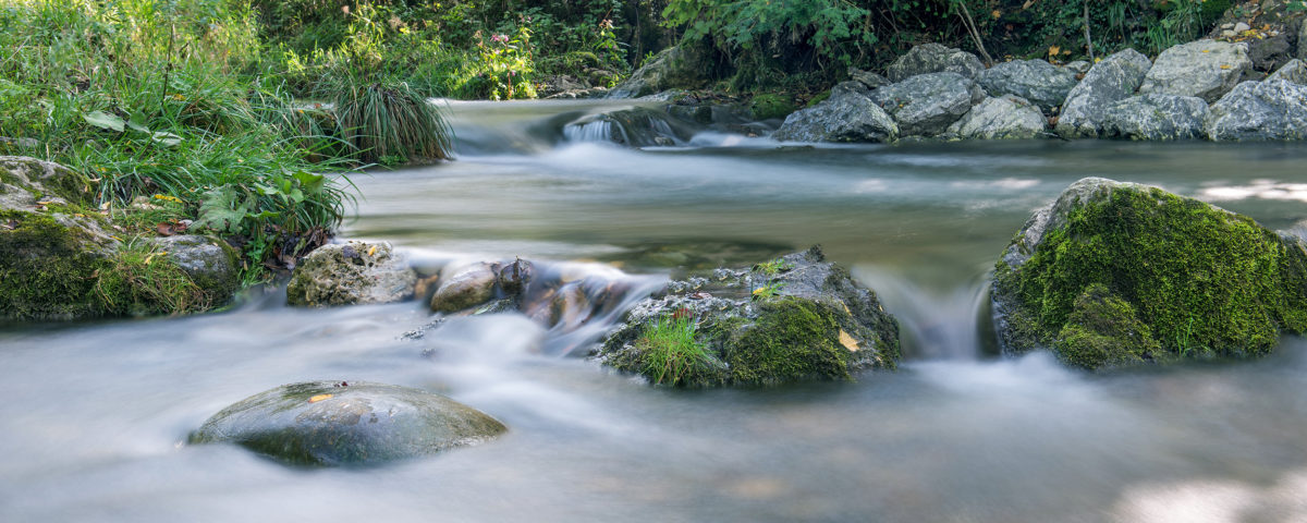 Der Fluss Prien, Prientaler Flusslandschaft