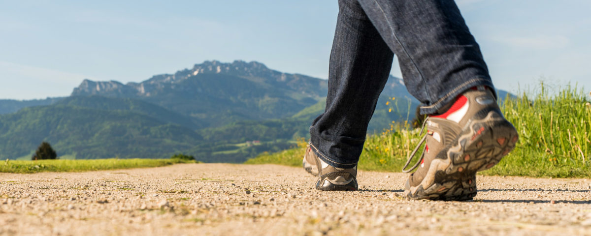 Wandern im Chiemsee Alpenland