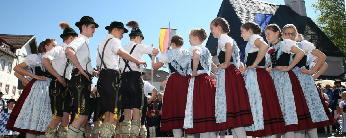 Maibaum Aufstellen